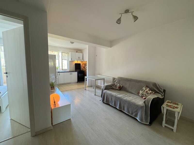 Popesti-Leordeni, Drumul Fermei.